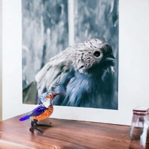 IJsvogel Glazen Vogel Vogel Vogels Vogeltjes Vogeltje Decoratie vogel van glas