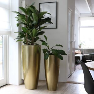 _ Vase The World