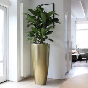 _ Vase The World