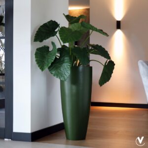 _