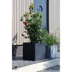 _ Vase The World
