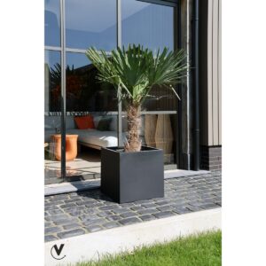 _ Vase The World